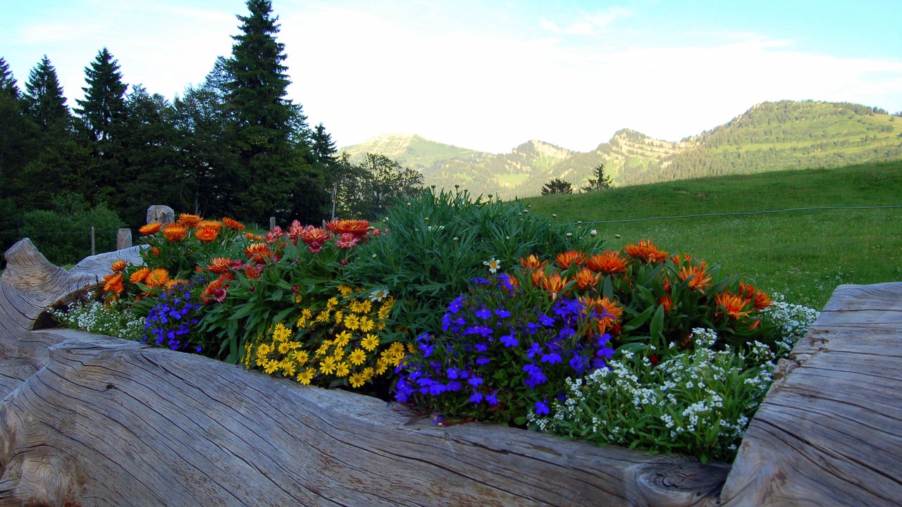 Photo of Outdoor in Steibis