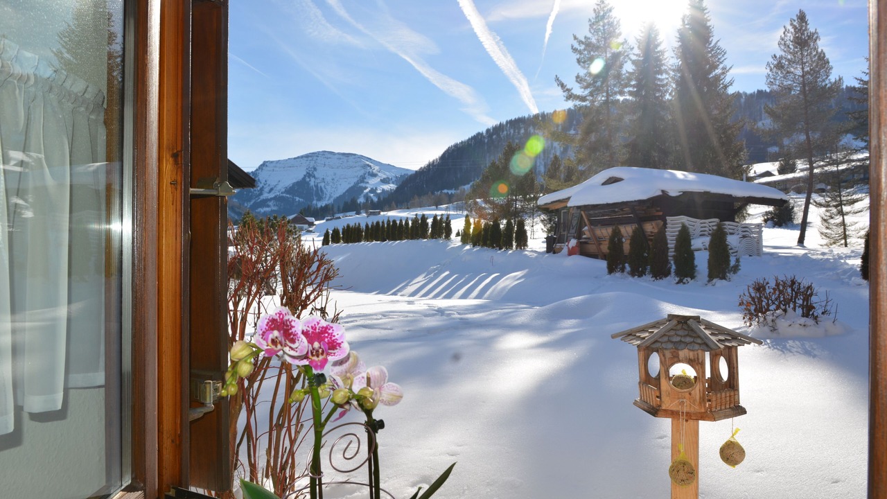 Photo of Outdoor in Steibis