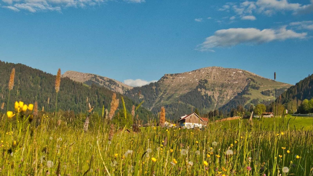 Photo of Outdoor in Steibis