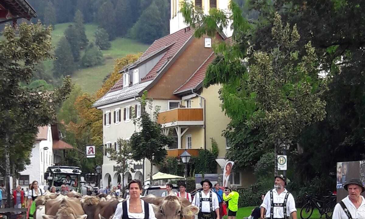 Photo of Outdoor in Steibis