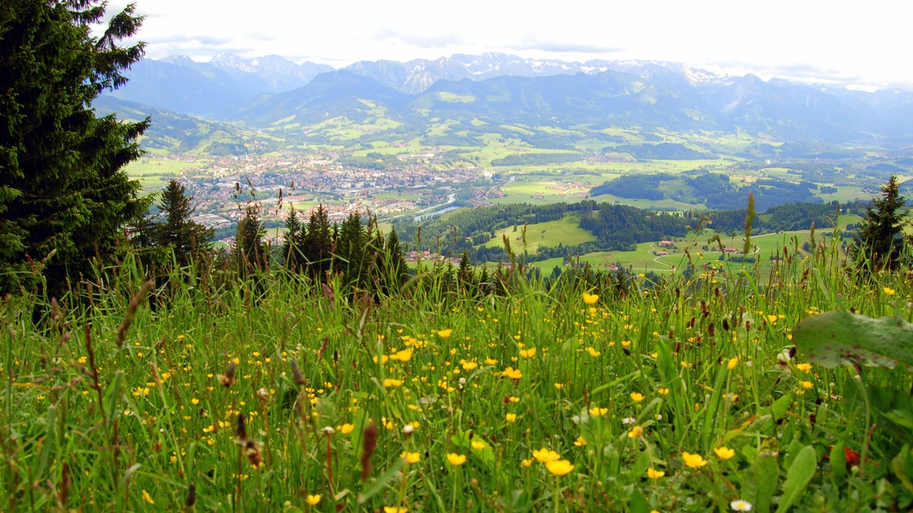 Photo of Outdoor in Steibis