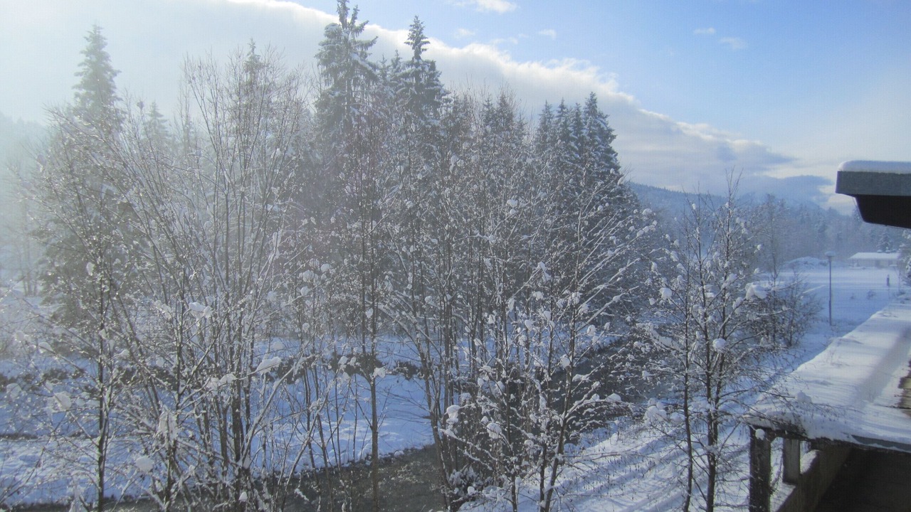 Photo of Outdoor in Groissenbach