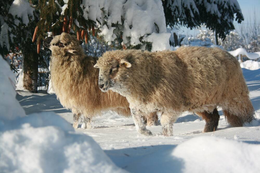 Photo of Others in Heimenkirch