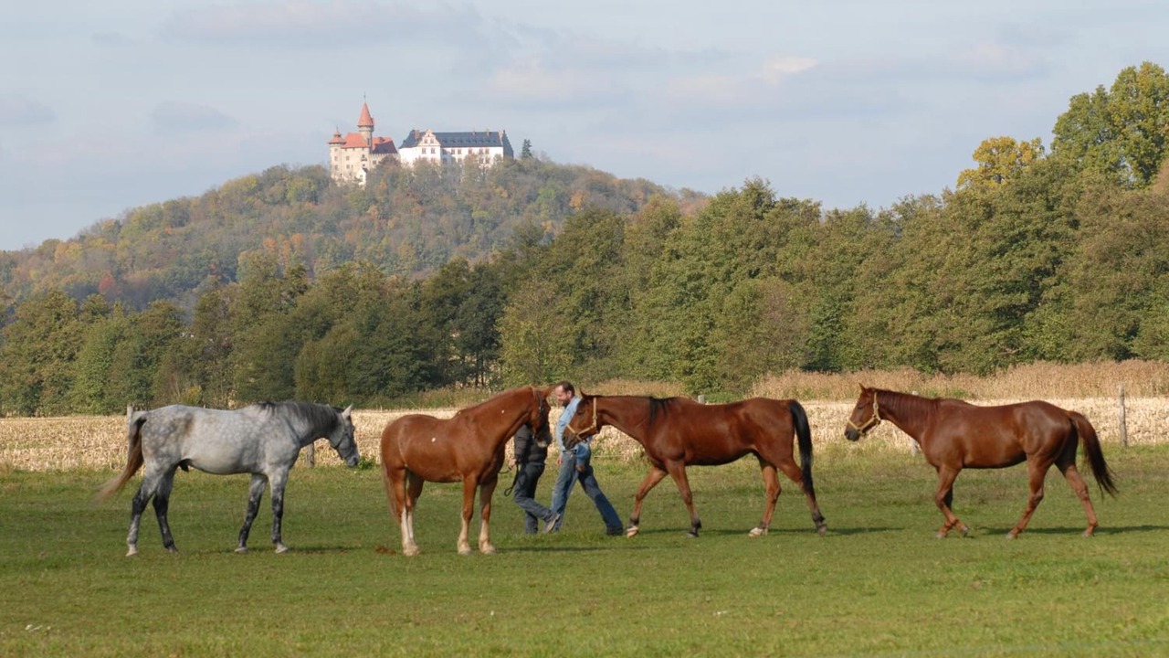 Photo of Outdoor in Bad Rodach