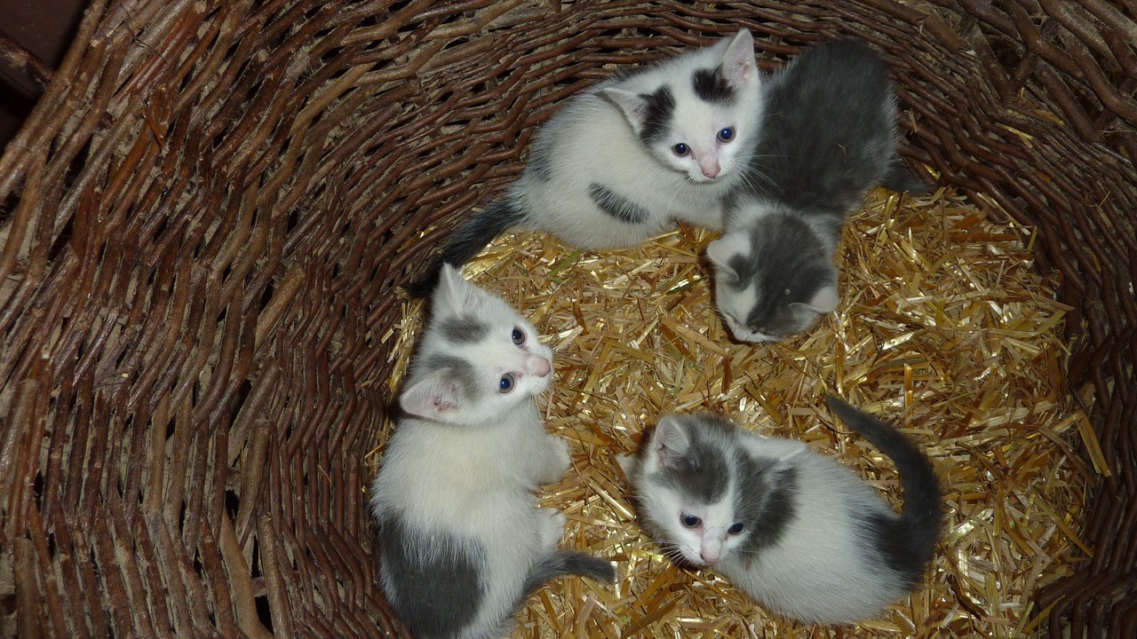Photo of Others in Großharbach