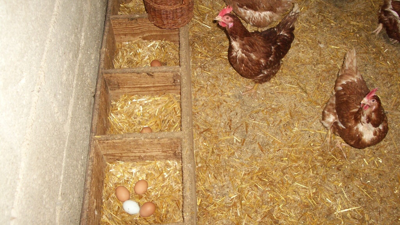 Photo of Others in Großharbach