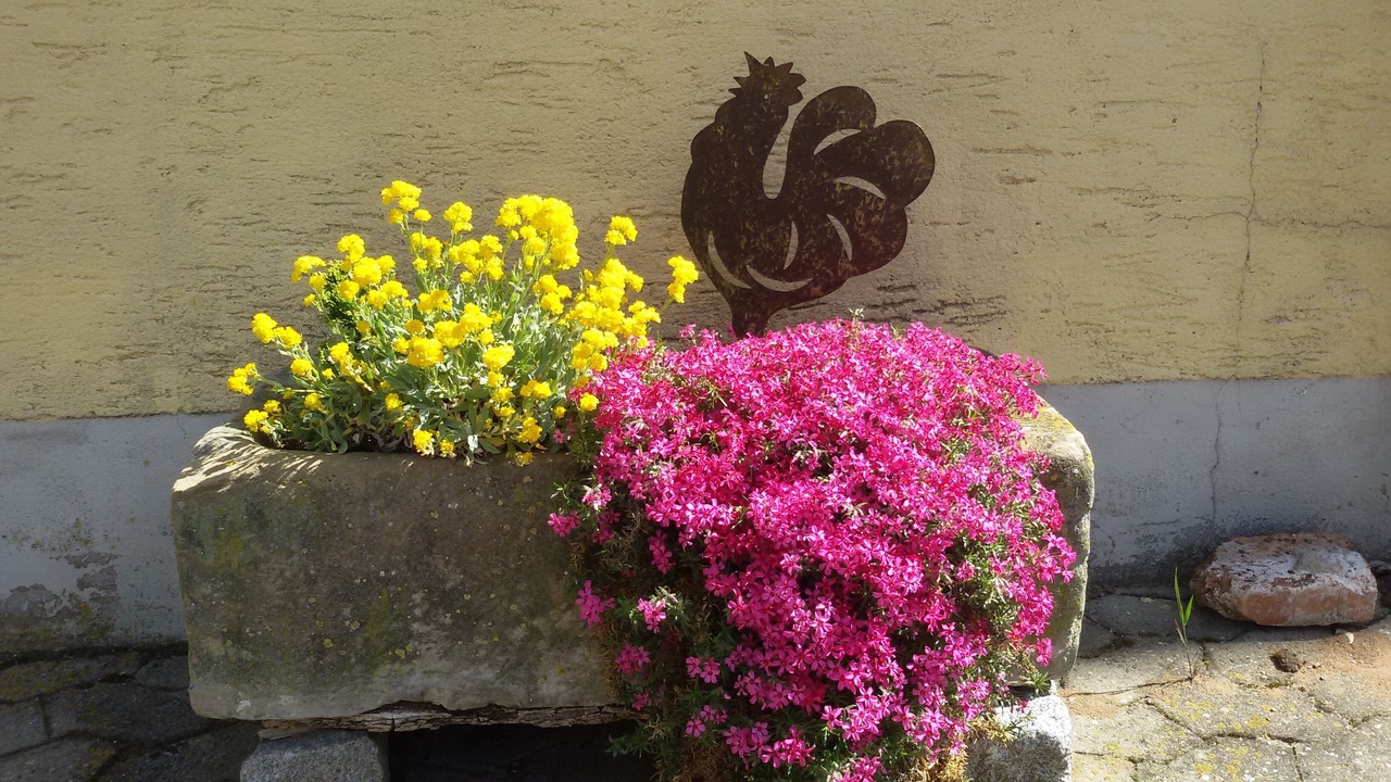 Photo of Outdoor in Großharbach