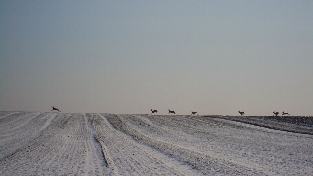 Photo of Others in Großharbach