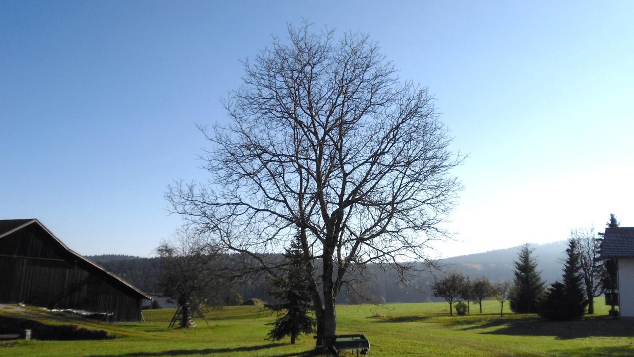 Photo of Outdoor in Lindenau