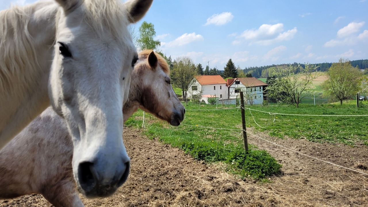 Photo of Outdoor in Hohenberg a.d.Eger
