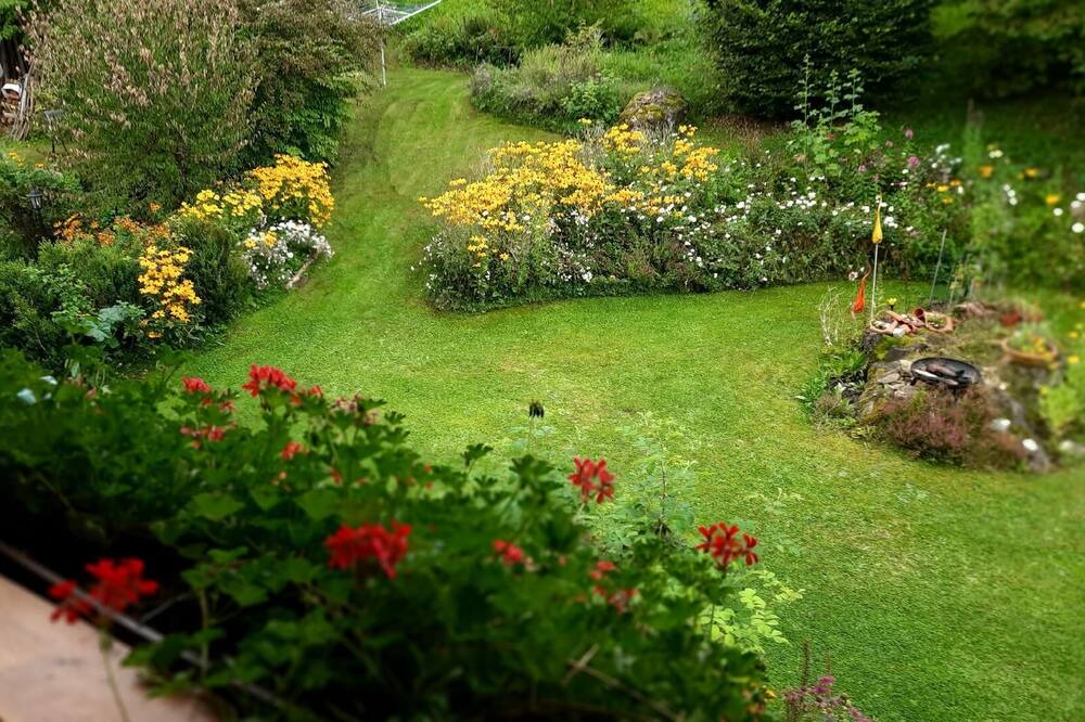 Photo of Outdoor in Bayerisch Eisenstein