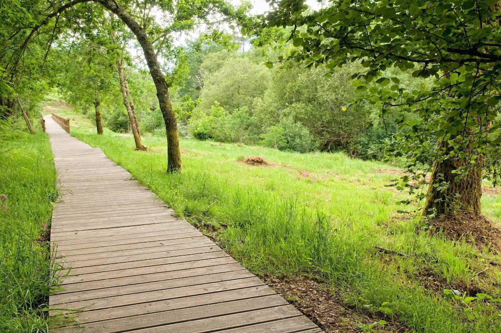 Photo of Outdoor in Mondariz
