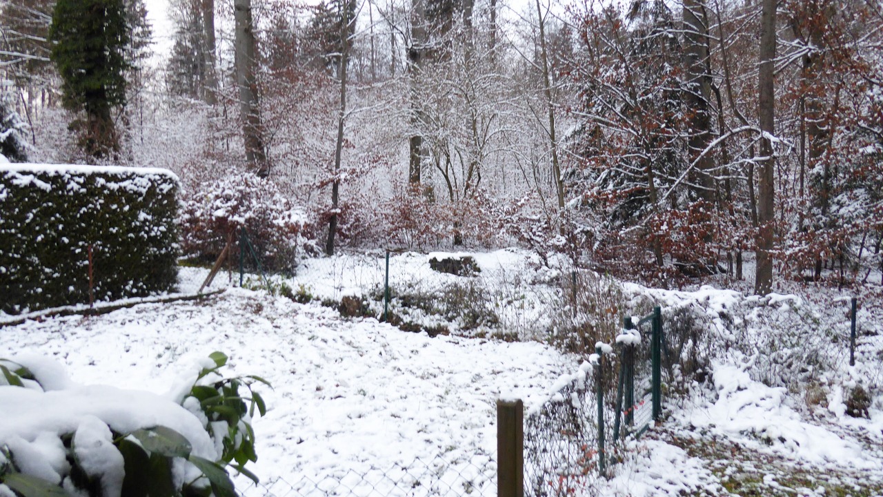 Photo of Outdoor in Starnberg
