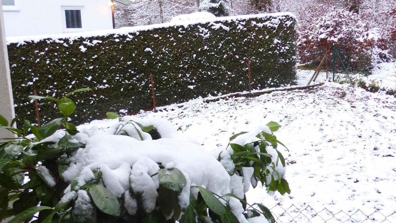 Photo of Outdoor in Starnberg