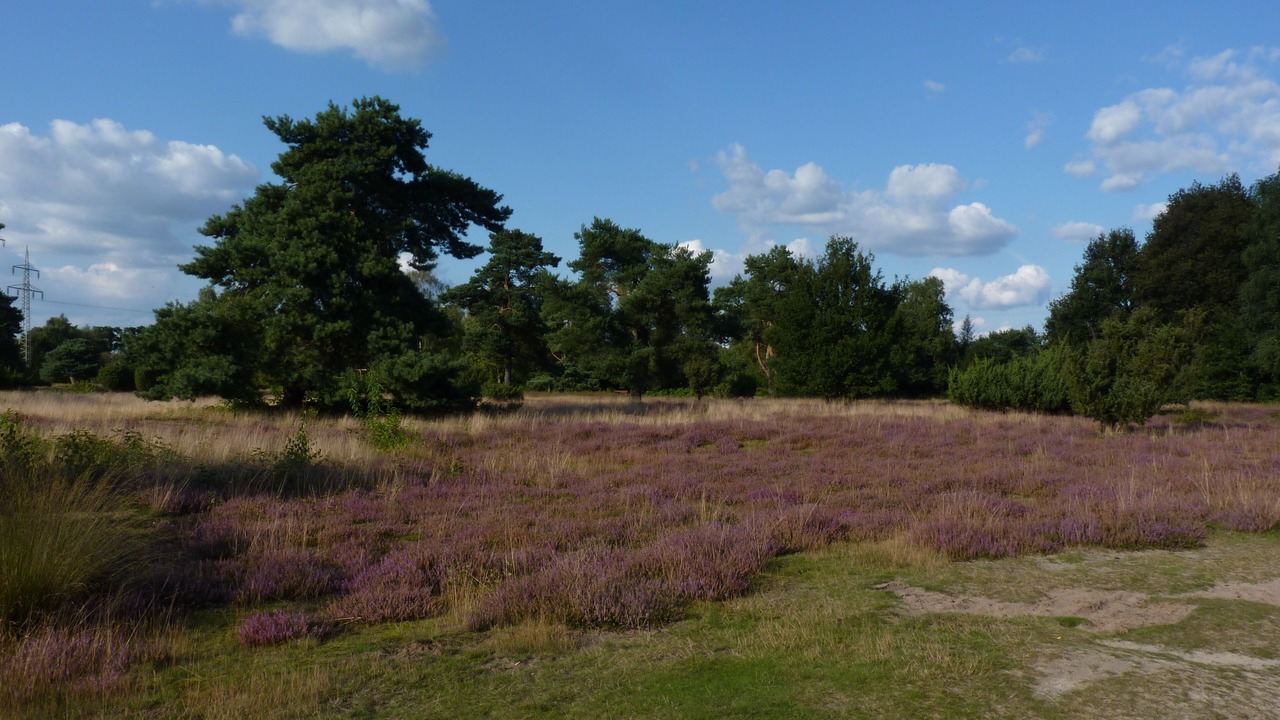 Photo of Outdoor in Haddorfer Seen