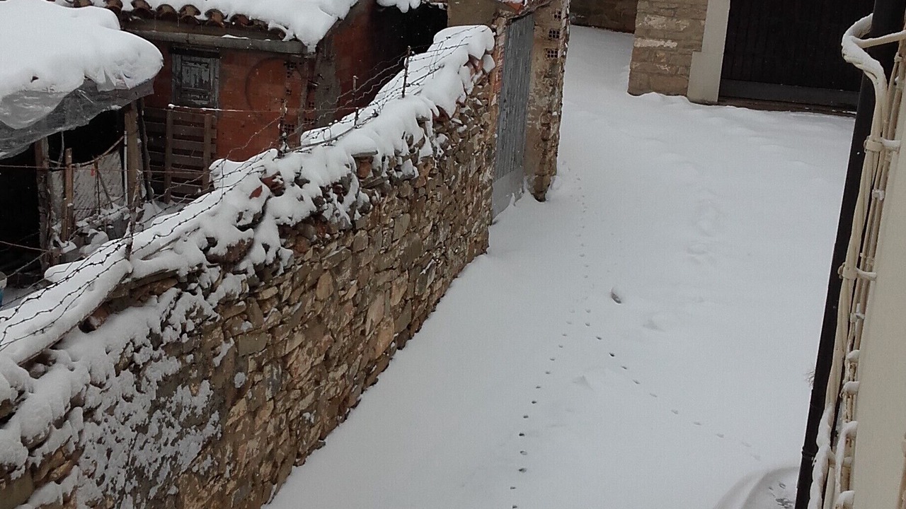 Photo of Outdoor in La Puebla de Valverde
