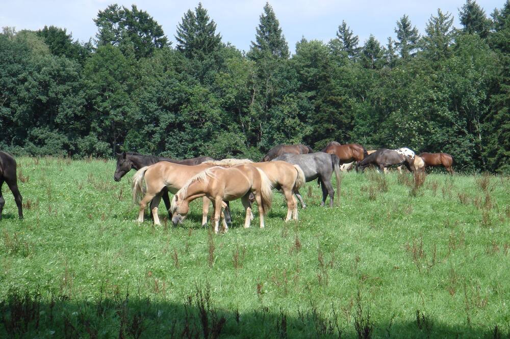 Photo of Outdoor in Wackersberg