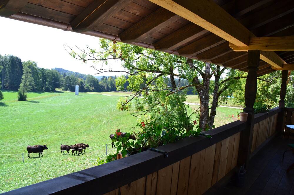 Photo of Outdoor in Wackersberg