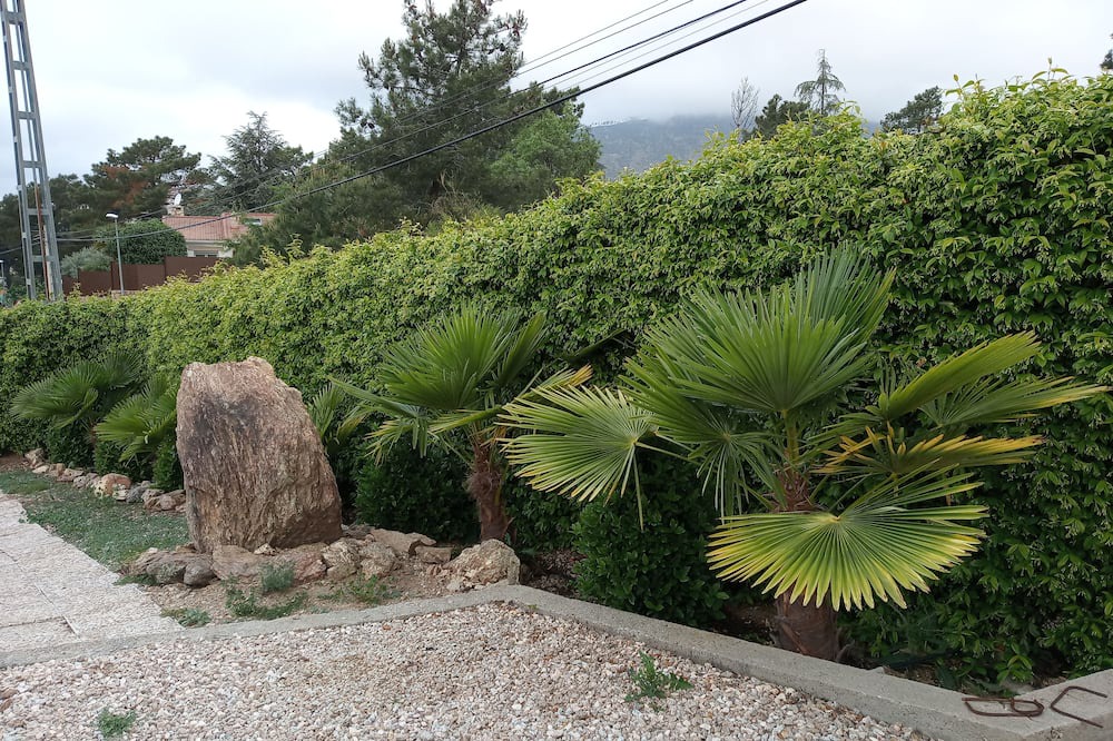Photo of Outdoor in Robledo de Chavela