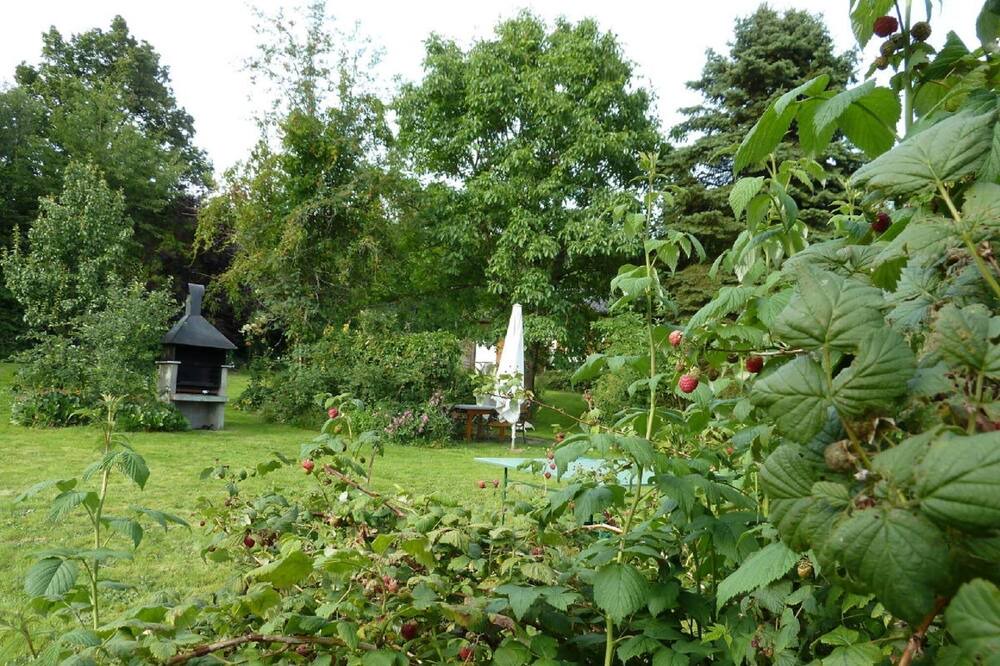 Photo of Outdoor in Kirchdorf im Wald