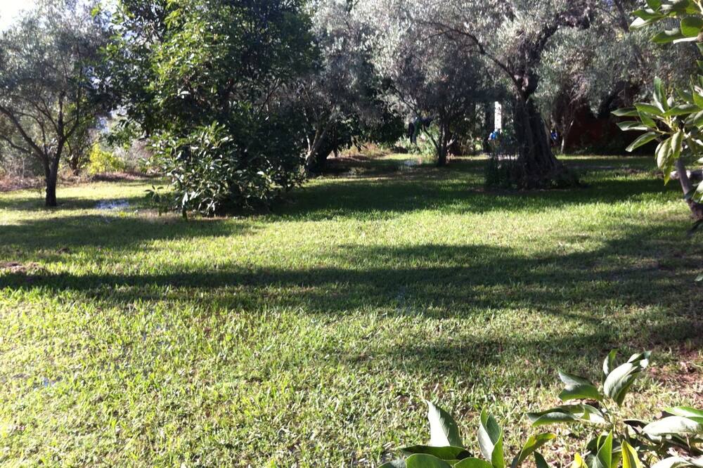 Photo of Outdoor in Orgiva