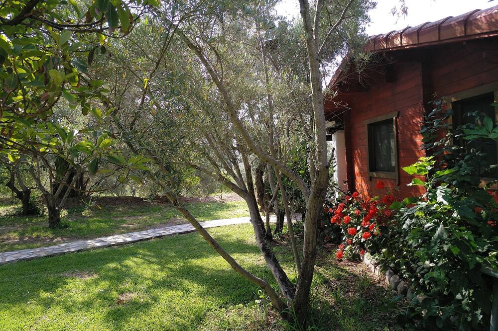 Photo of Outdoor in Orgiva