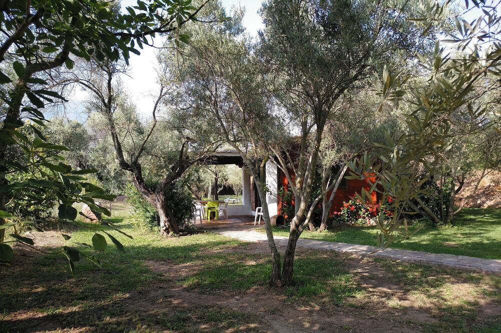 Photo of Outdoor in Orgiva