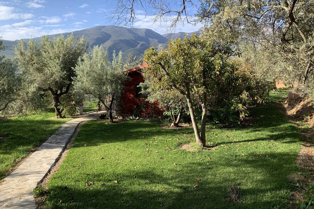 Photo of Outdoor in Orgiva