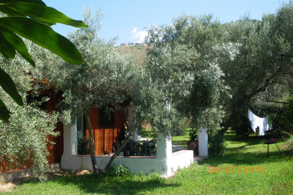 Photo of Outdoor in Orgiva