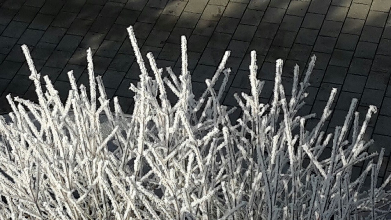 Photo of Outdoor in Wiesent