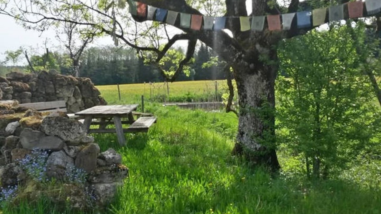 Photo of Outdoor in Diessen am Ammersee