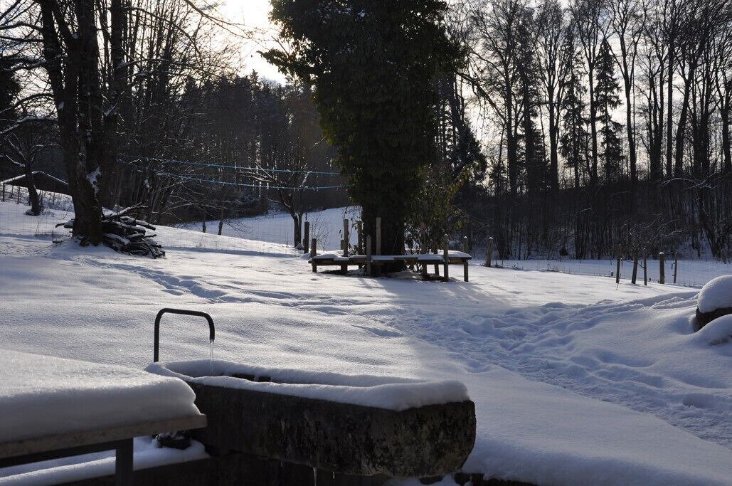 Photo of Outdoor in Prien am Chiemsee