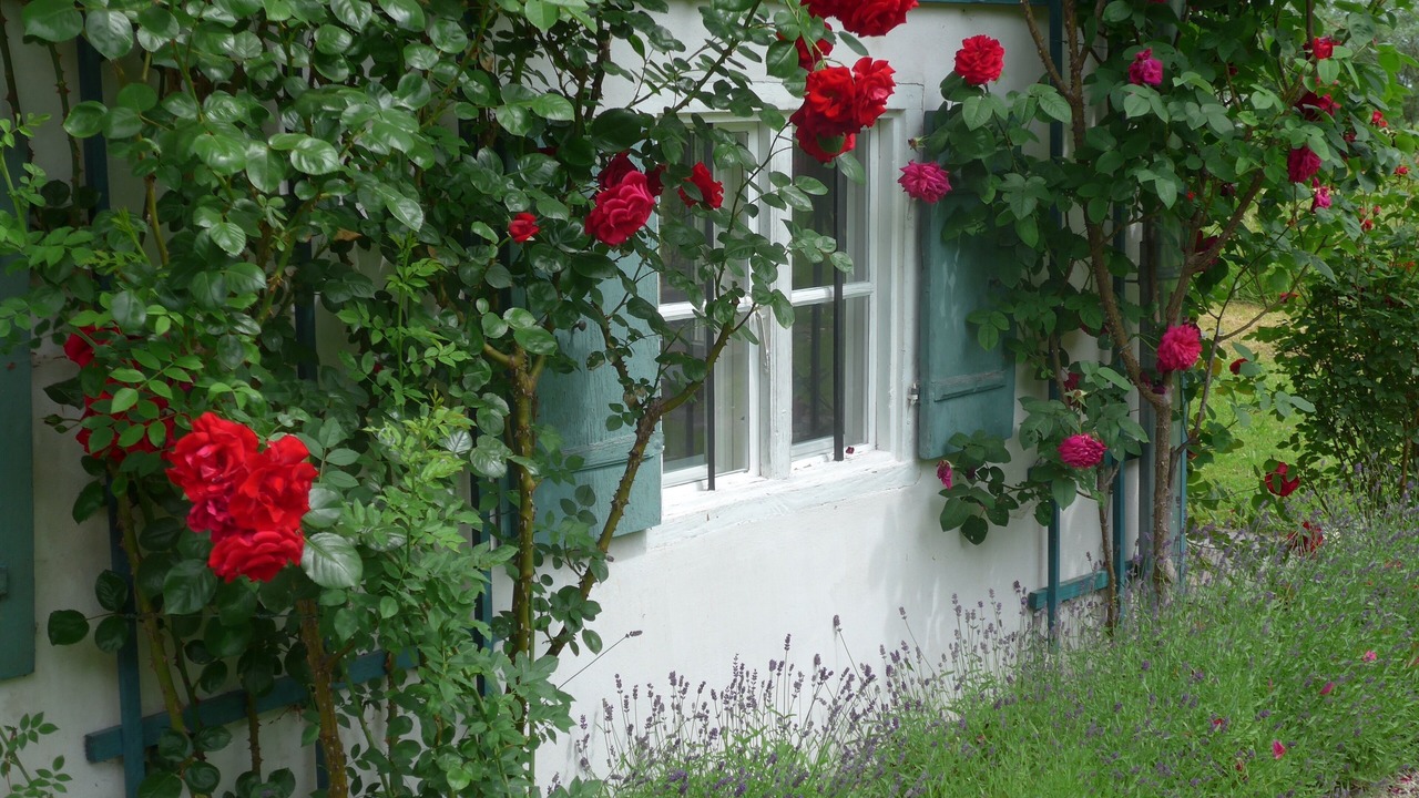 Photo of Outdoor in Prien am Chiemsee