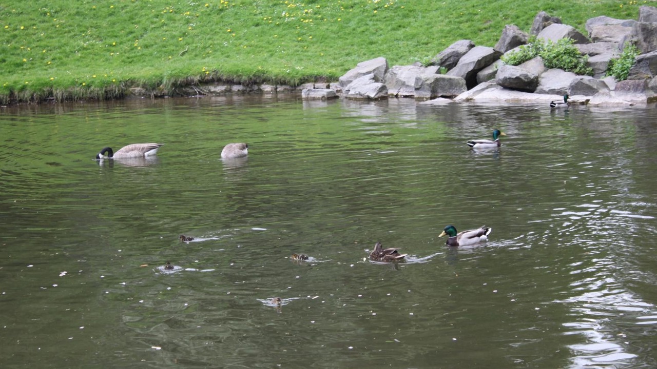 Photo of Outdoor in Wehringhausen