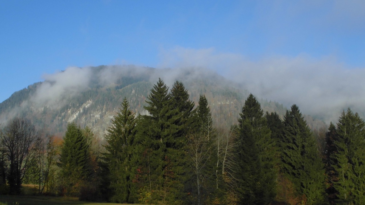 Photo of Outdoor in Oberstdorf