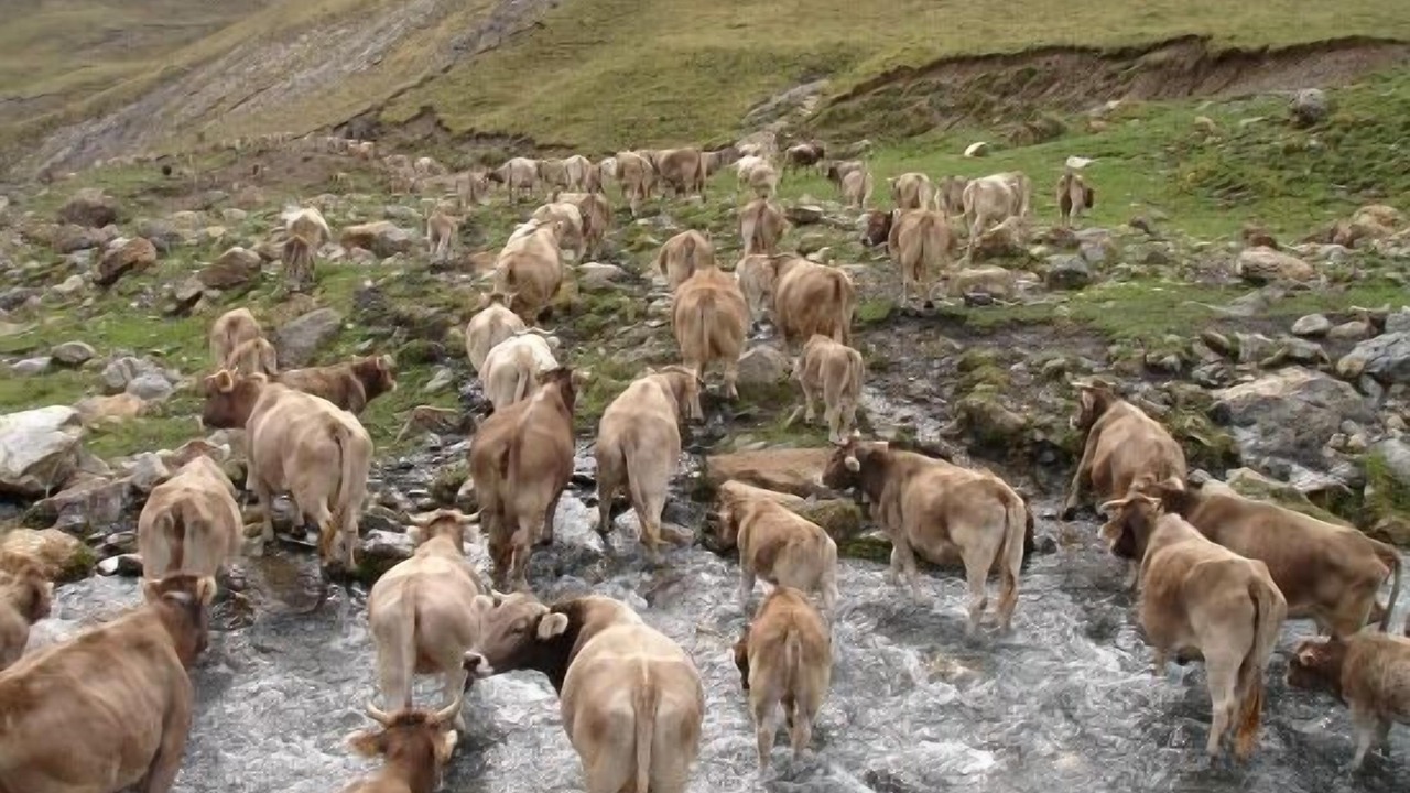 Photo of Outdoor in Bonansa