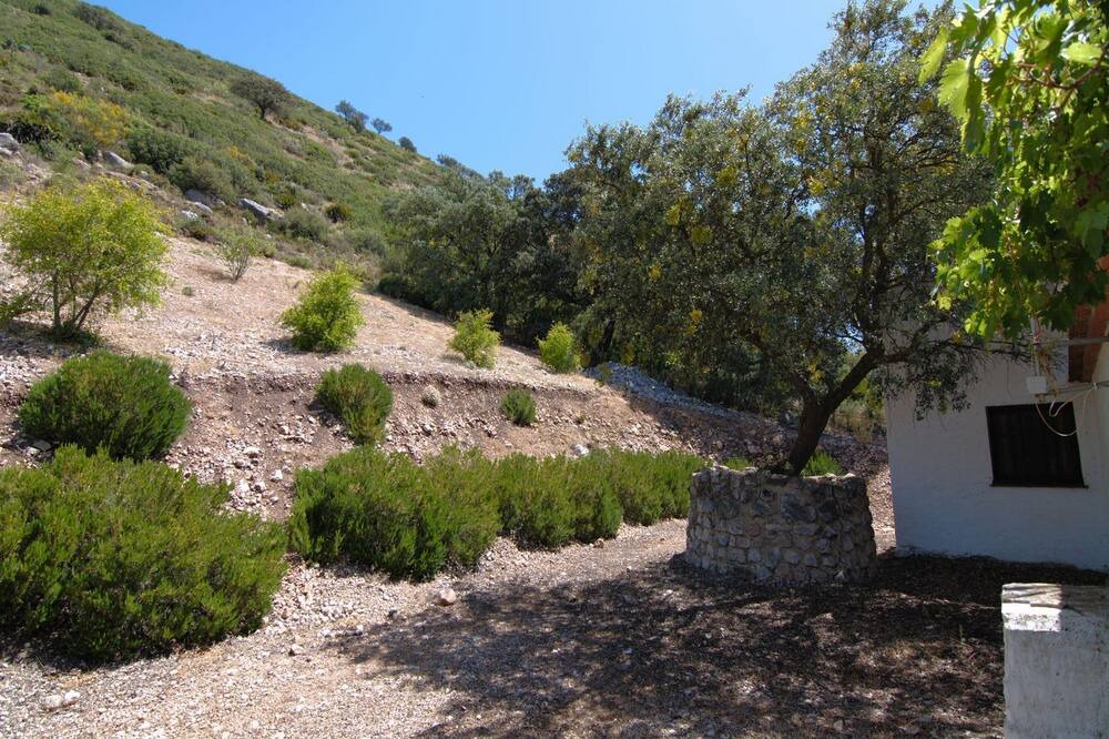 Photo of Outdoor in La Joya