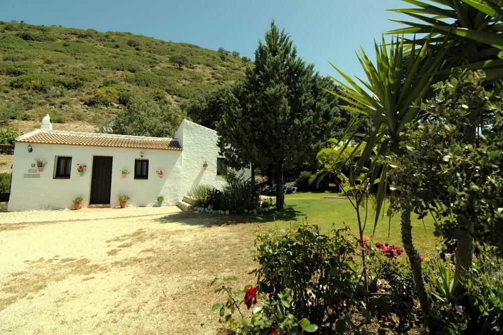 Photo of Outdoor in La Joya