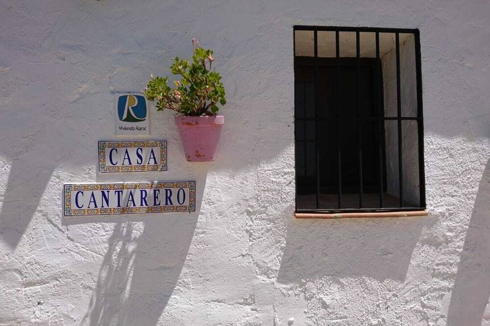 Photo of Outdoor in La Joya