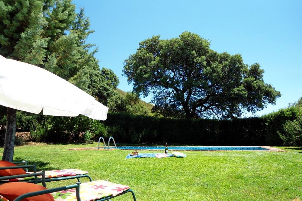 Photo of Outdoor in La Joya