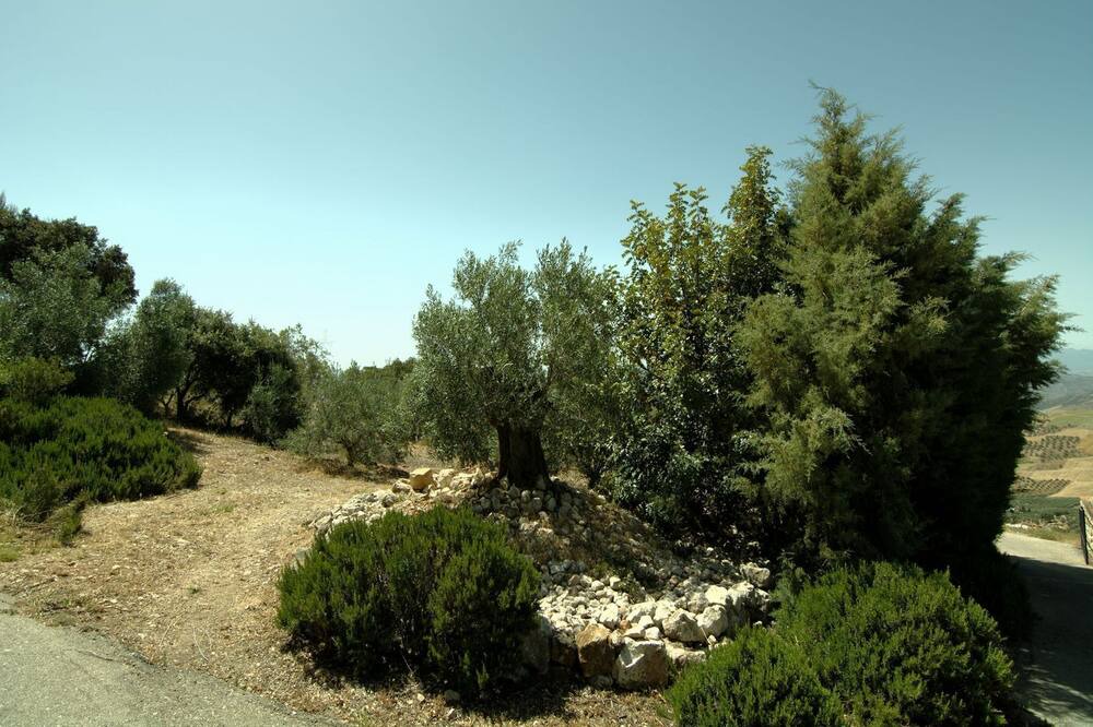 Photo of Outdoor in La Joya