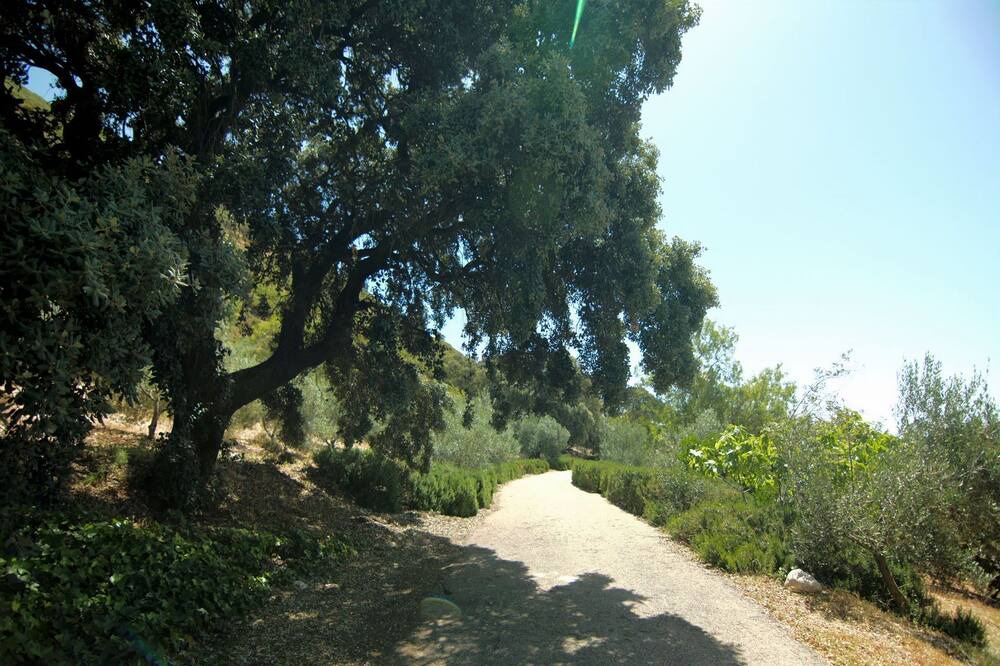Photo of Outdoor in La Joya