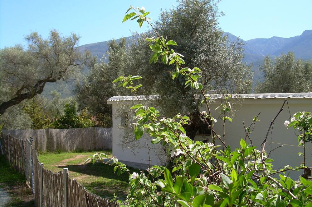 Photo of Outdoor in Orgiva