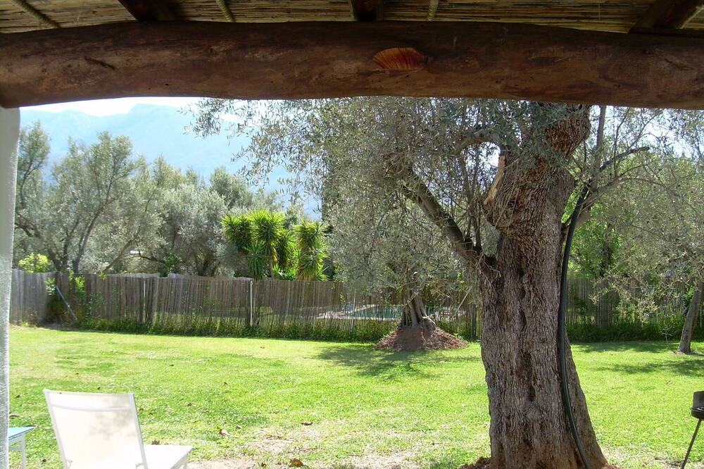 Photo of Outdoor in Orgiva