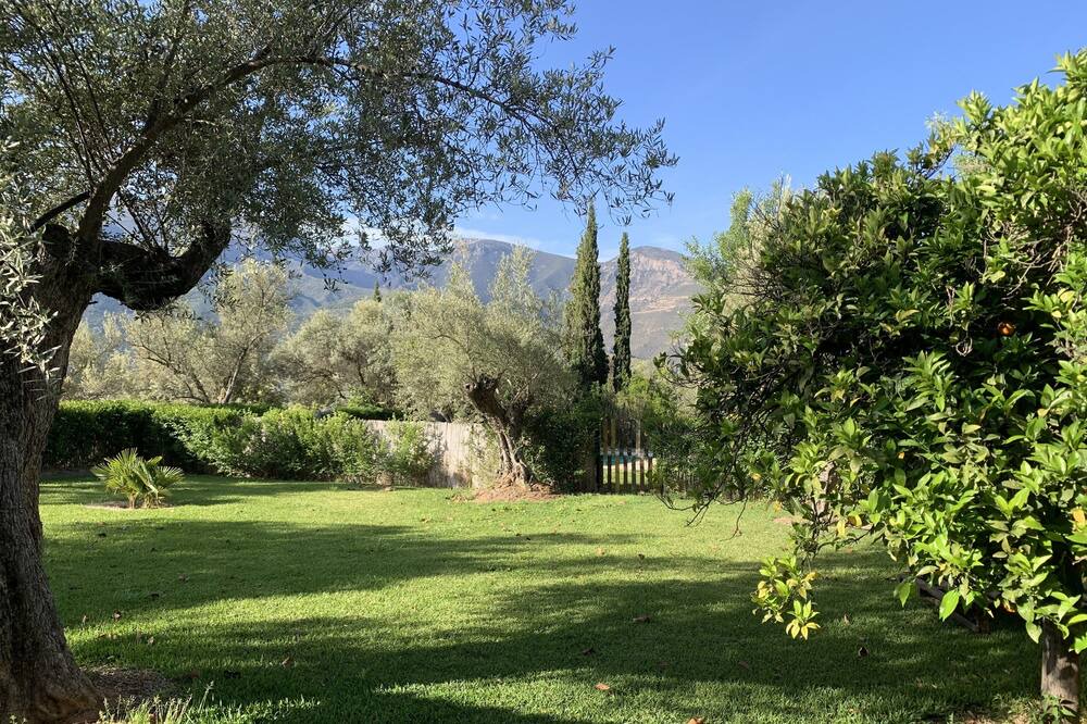 Photo of Outdoor in Orgiva