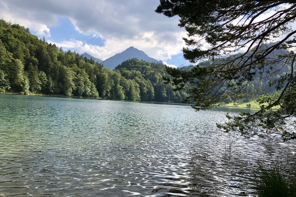 Photo of Others in Heitlern