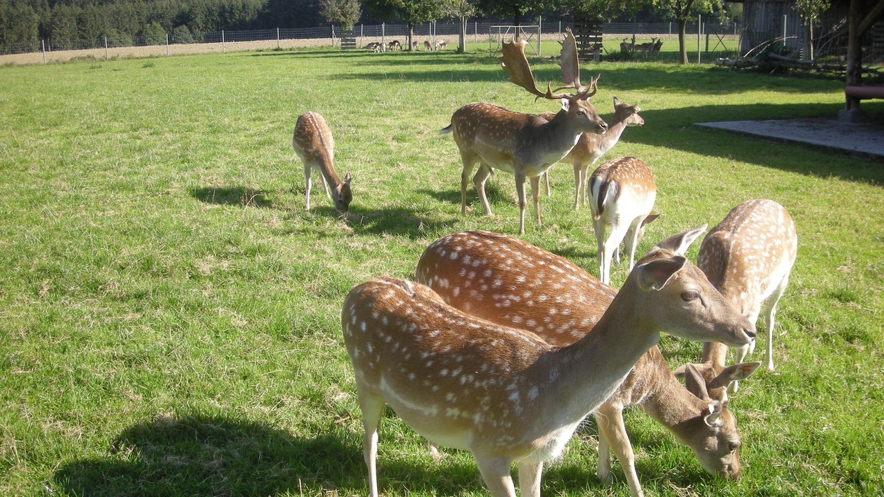 Photo of Outdoor in Schwabmuenchen