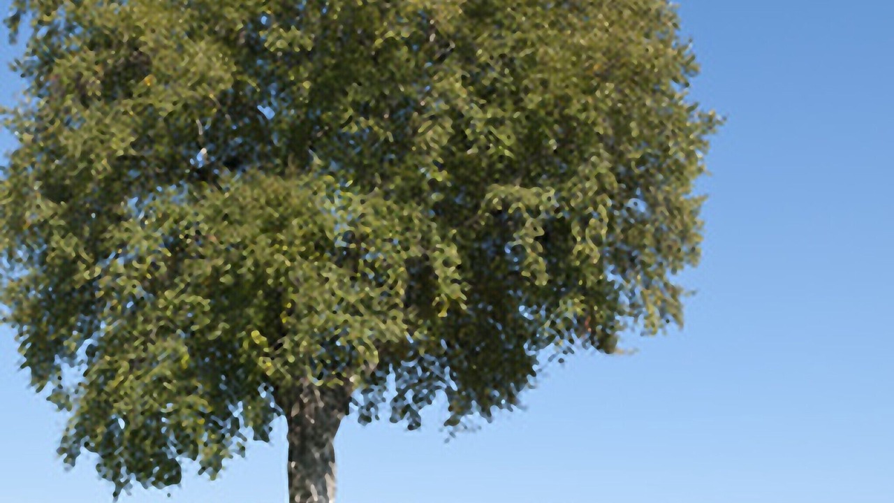 Photo of Others in Ebratshofen