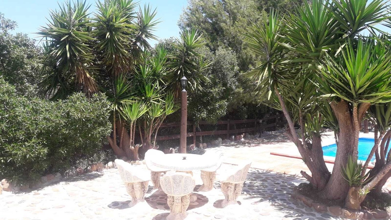 Photo of Outdoor in Almogia