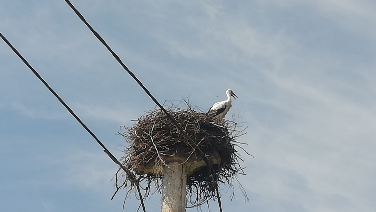 Photo of Others in Ottenhofen
